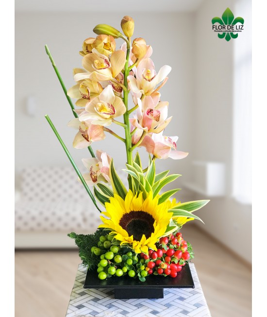 ORQUÍDEA ENCANTADORA ORQUÍDEA ENCANTADORA